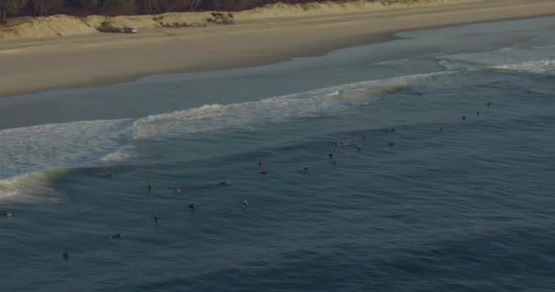 Vista aérea Surfers Paradise al amanecer personas surfboarding — Vídeo de stock