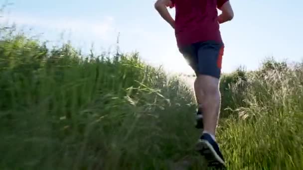Active Caucasian Male Trail Runner Training Running Keep Healthy Uphill — Stock Video