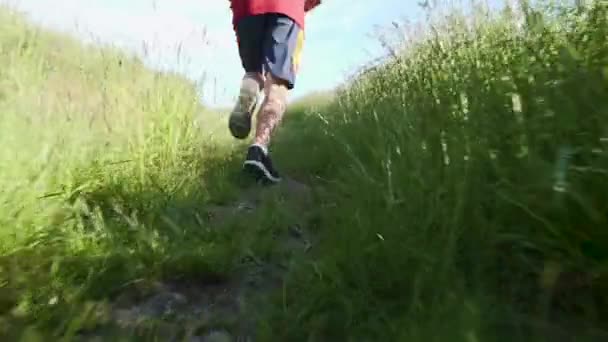 跑上高山的白人田径运动员新西兰南岛著名的国家公园峡湾 — 图库视频影像