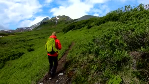 Кавказская Женщина Туристка Проходит Тропе Мимо Зеленой Летней Растительности Аляскинской — стоковое видео