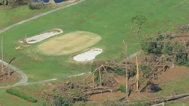 Luftbild knickte umgeknickte Bäume Hurrikan Sturm Winde — Stockvideo