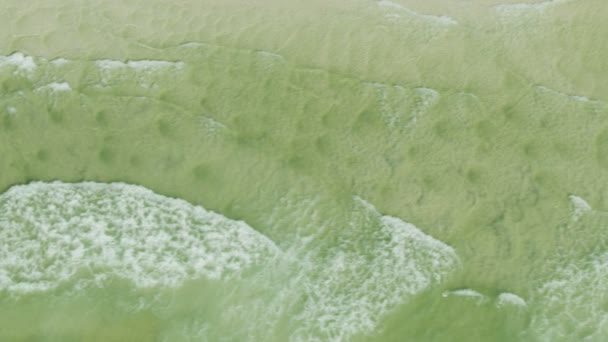 Aerial view toxic green ocean red tide Florida — Stock Video