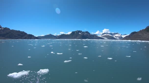 근처에 있는 빙하에서 떠오른 얼음 — 비디오