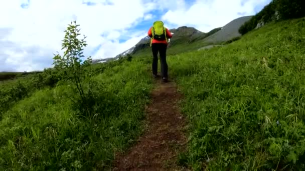 成功的白种人女徒步旅行者沿着小路走过绿色的夏季植被阿拉斯加西北部山区 — 图库视频影像