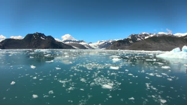 알래스카를 떠다니는 빙산, 태평양 북서부를 물색으로 물들이는 빙산 — 비디오