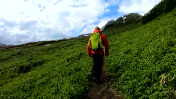 Pov Kavkazská Turistka Kráčející Stezce Kolem Zelené Letní Vegetace Aljašská — Stock video