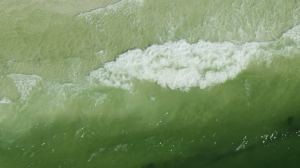 Ondas de visão aérea carregando maré vermelha flor tóxica — Vídeo de Stock