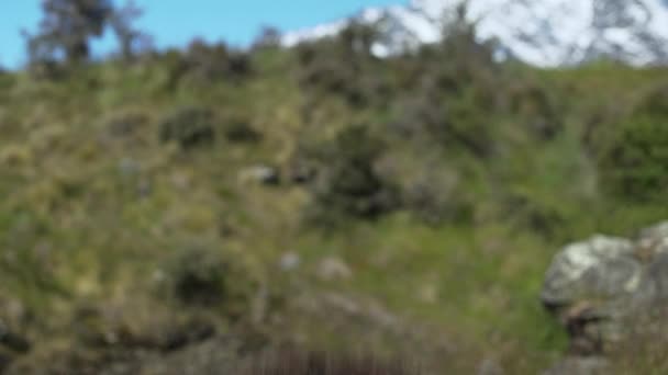Friska Kaukasiska Skäggiga Mannen Trail Runner Koncentrat För Utbildning Bergen — Stockvideo