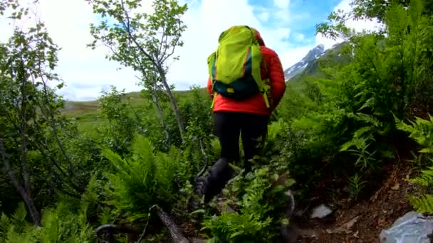 Beyaz Kadın Yürüyüşçü Alaska Nın Kuzeybatı Alaska Kırsalındaki Yeşil Bitki — Stok video