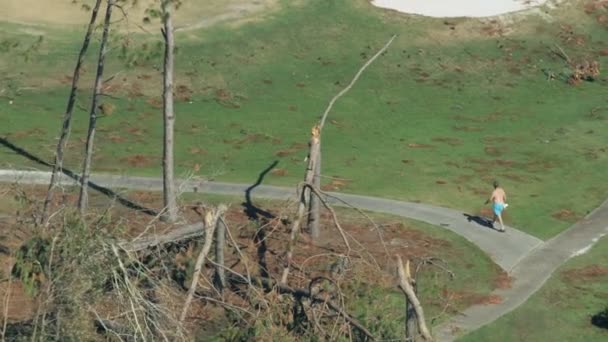 Flygfoto knäppte trasiga träd orkan storm vindar — Stockvideo