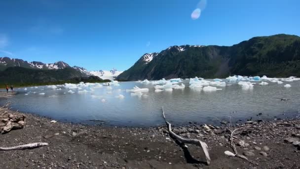 POV Bergsee Treibholz schwimmendes gefrorenes Eis Alaska — Stockvideo