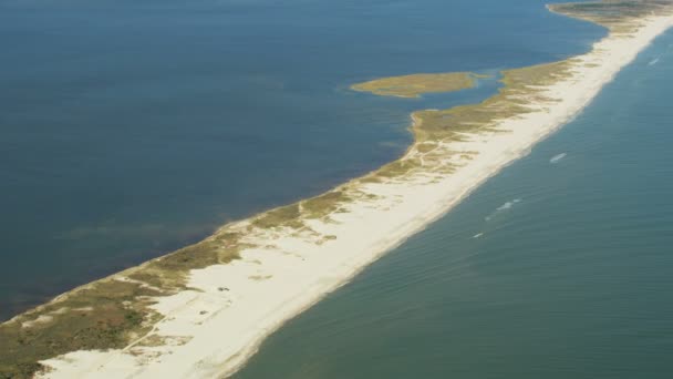 Hava manzaralı kazıcılar Florida sahil şeridi boyunca kum savunması inşa ediyorlar. — Stok video