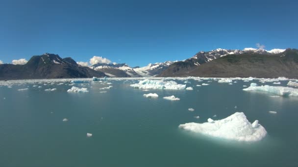 Çevresel iklim değişikliğinin eriyen buzul semptomu — Stok video
