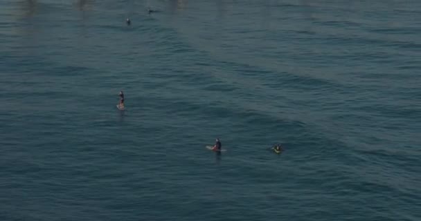 Widok z lotu ptaka Surferzy o wschodzie słońca Gold Coast Queensland — Wideo stockowe