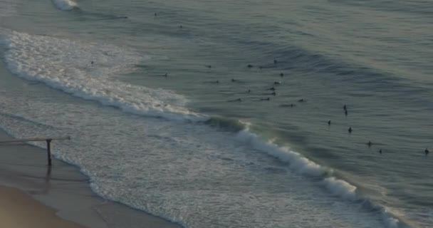 Flygfoto Surfare vid soluppgång Guldkusten Queensland — Stockvideo