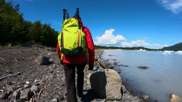 Pov Ambitious Female Hiker Walking Passed Driftwood Pacific Northwest Shoreline — Stock Video