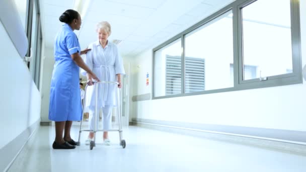 Caring African American Nursing Staff Older Female Patient — Stock Video