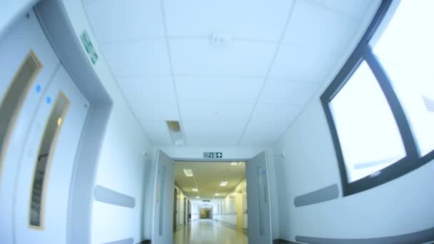 Modern Hospital Corridors No People Wide Angle — Stock Video