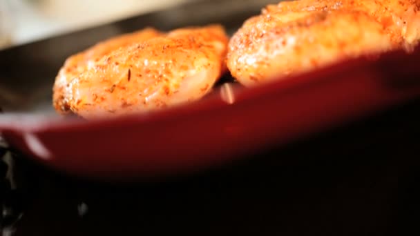 Nefis tecrübeli taze tavuk pişirme yakın çekim — Stok video