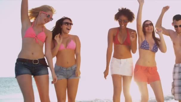 Les jeunes s'amusent sur la plage — Video