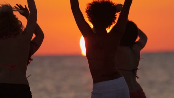 Junge Leute haben Spaß am Strand — Stockvideo