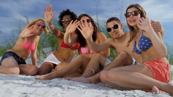 Freunde amüsieren sich am Strand — Stockvideo