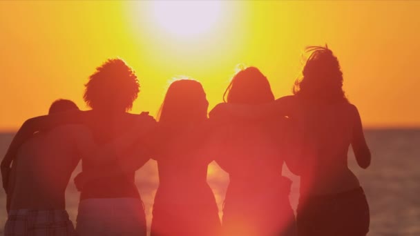 Teenagers watching sunset on beach — Stock Video