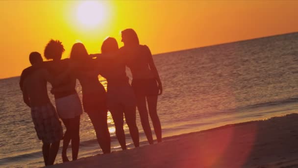 Teenagers watching sunset on beach — Stock Video