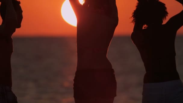 Young people having fun on beach — Stock Video