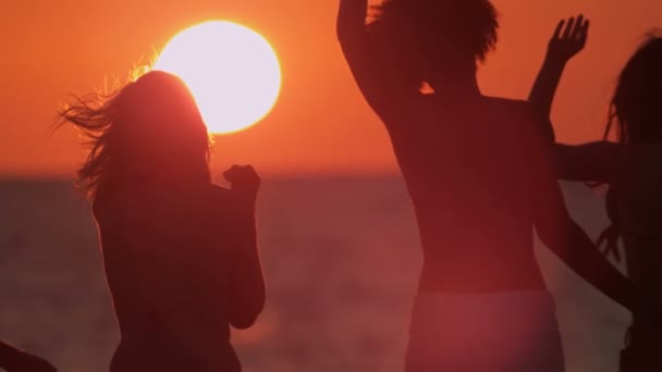 Jóvenes divirtiéndose en la playa — Vídeo de stock