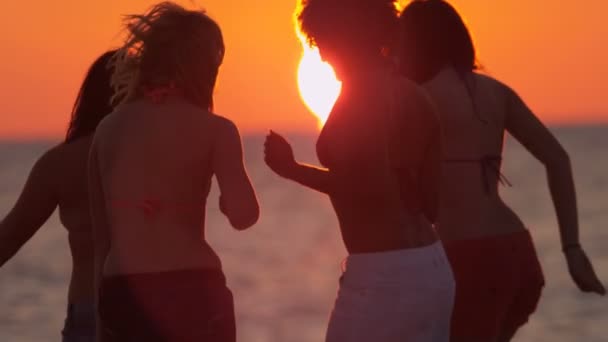 Unga människor att ha kul på stranden — Stockvideo