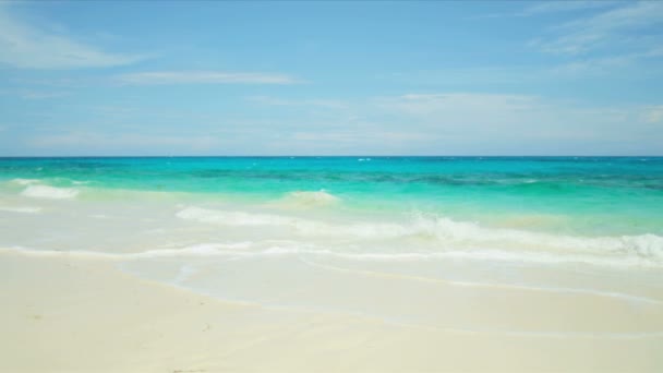 Ragazza guardando oceano sulla spiaggia — Video Stock