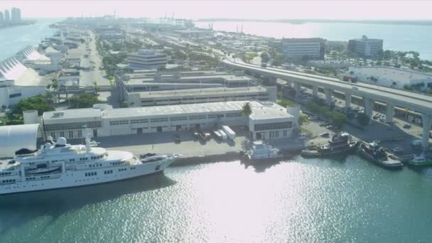 Terminal delle navi da crociera, isola di Dodge — Video Stock