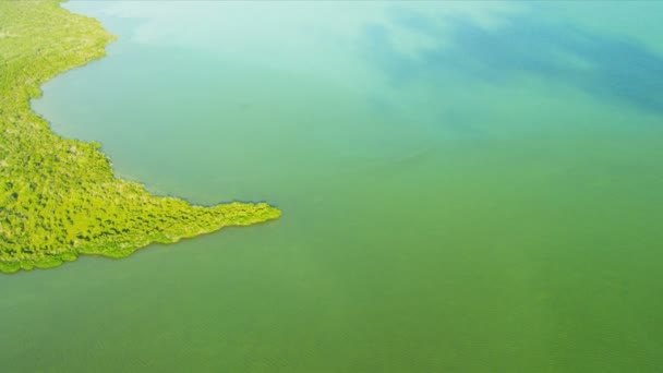 Southern Florida coastline Region — Stock Video