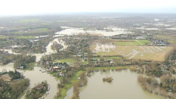 Szkody wyrządzone środowisku naturalnemu poprzez powodziową — Wideo stockowe