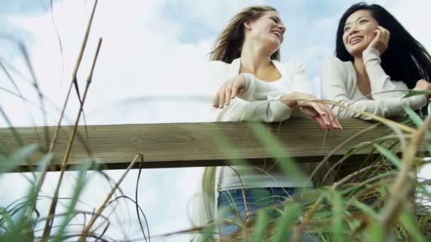 Donne che godono di aria fresca sulla spiaggia — Video Stock