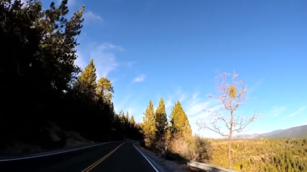 Condução através da montanha Sonora Pass — Vídeo de Stock