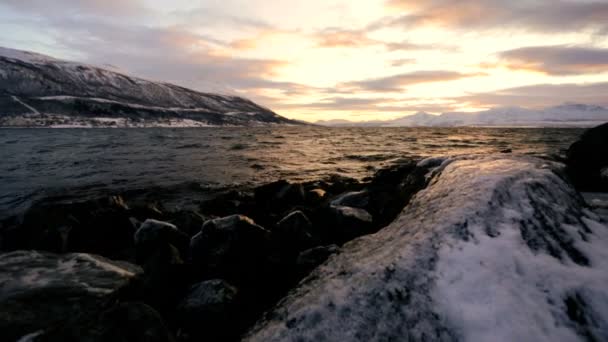 Wellen an der Küste im Winter — Stockvideo