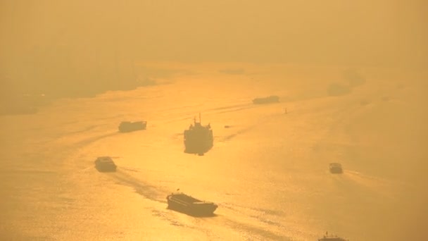 Freight barge traffic on Huangpu River — Stock Video