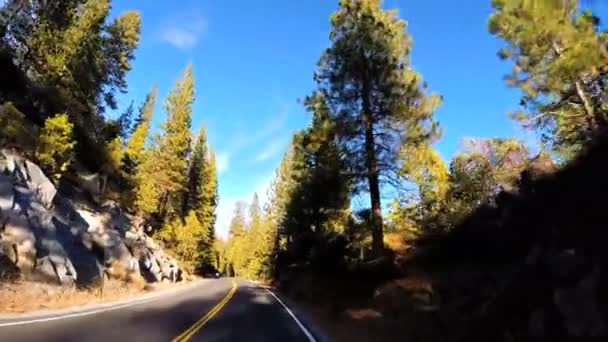 Driving through Sonora mountain Pass — Stock Video