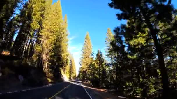 Condução através da montanha Sonora Pass — Vídeo de Stock