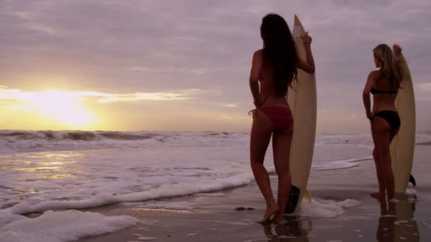 Girls hålla surfbrädor på stranden — Stockvideo