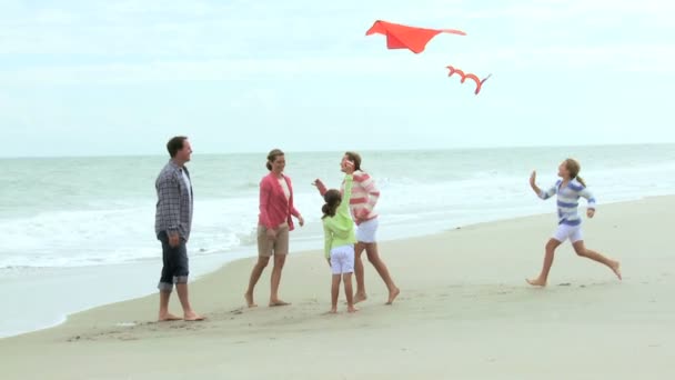 Familie met kite op strand — Stockvideo