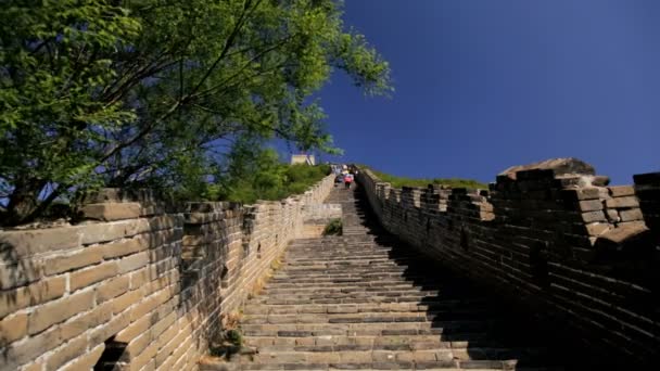 Die große Mauer des Porzellans — Stockvideo