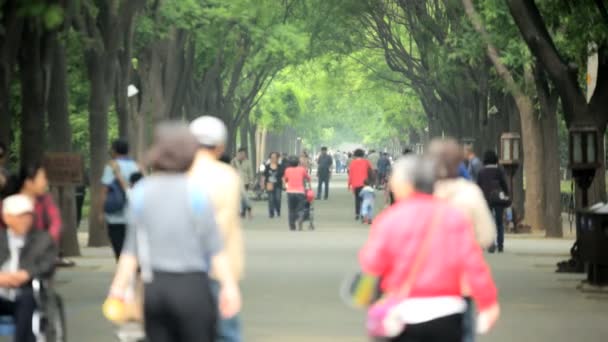 Persone al Tempio del Cielo Pagoda di Tiantan — Video Stock