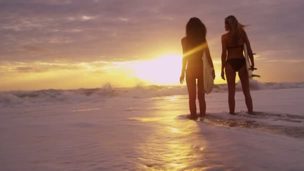 Ragazze che tengono tavole da surf sulla spiaggia — Video Stock