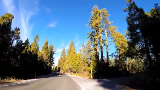 Rijden door Sonora berg Pass — Stockvideo