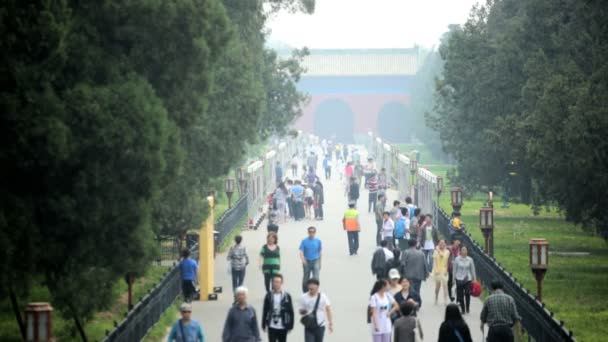 Tourists at Temple of Heaven in Tiantan Park — Stock Video
