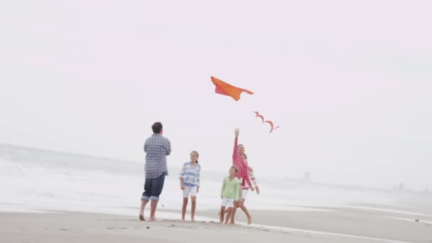 Familie met vliegende kite op strand — Stockvideo