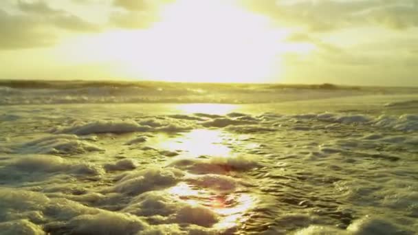 Pôr-do-sol dourado sobre ondas oceânicas — Vídeo de Stock